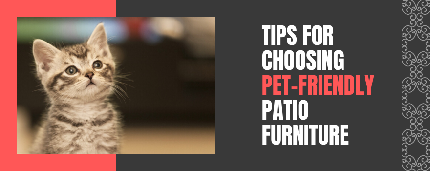 Tips for Choosing Pet-Friendly Patio Furniture