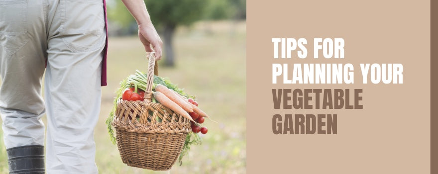 Tips For Planning Your Vegetable Garden