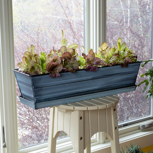 Flower Box Tray by Achla Designs