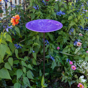 12" Lolly Embossed Birdbaths with Garden Stake