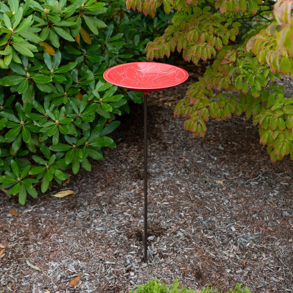12&quot; Lolly Embossed Birdbaths with Garden Stake