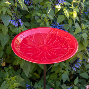 12" Lolly Embossed Birdbaths with Garden Stake