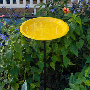 12" Lolly Embossed Birdbaths with Garden Stake