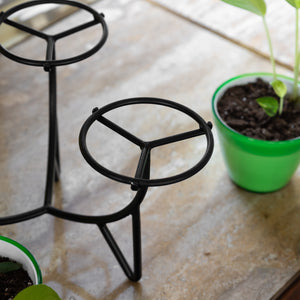 Frida Plant Stands by Achla Designs