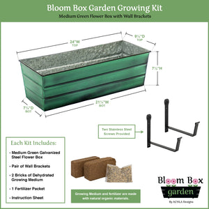 Bloom Box Garden Growing Kit, Medium Green with Wall Brackets