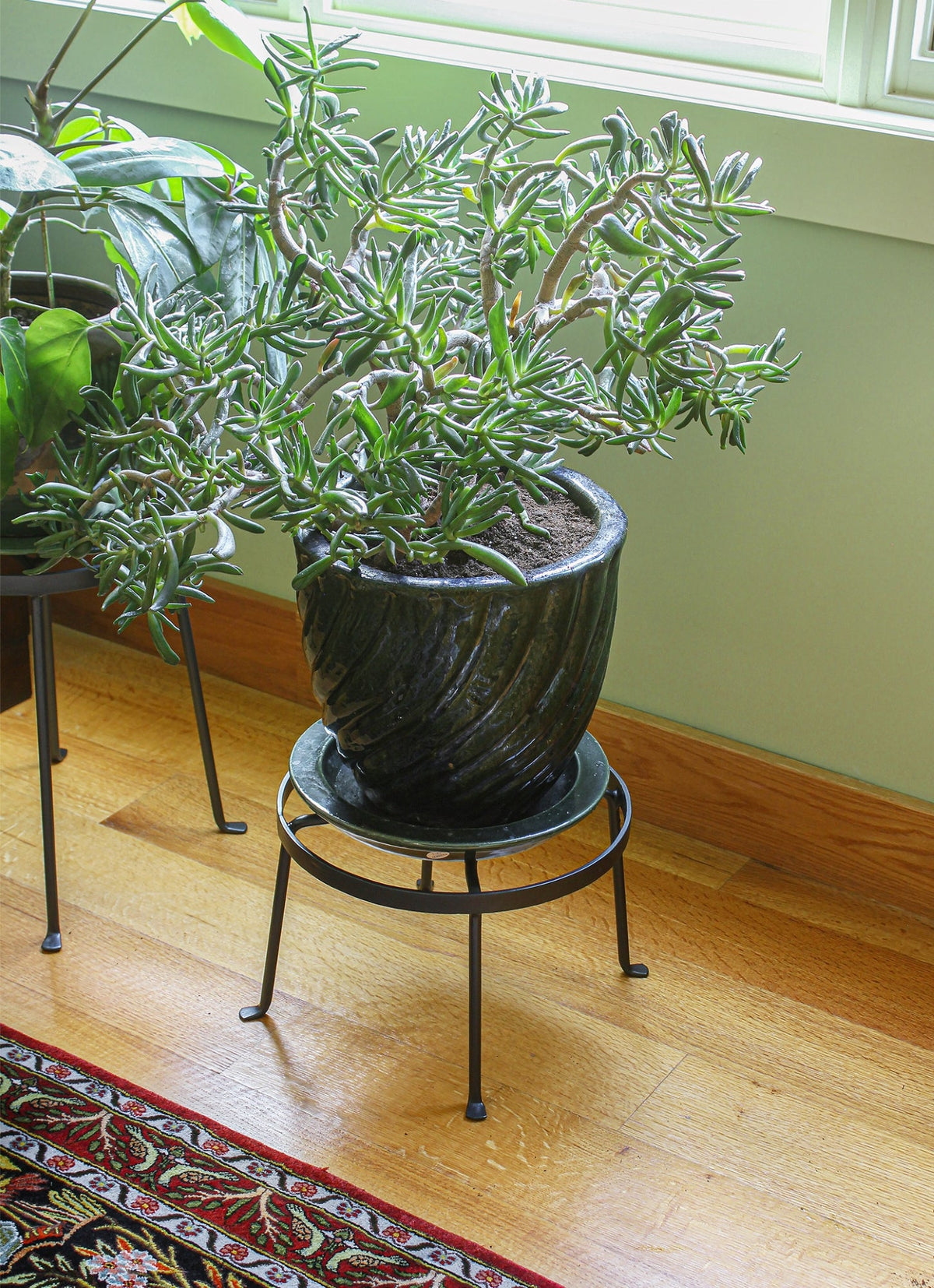Argyle Plant Stands, Set of Two by Achla Designs Flower Box Brackets