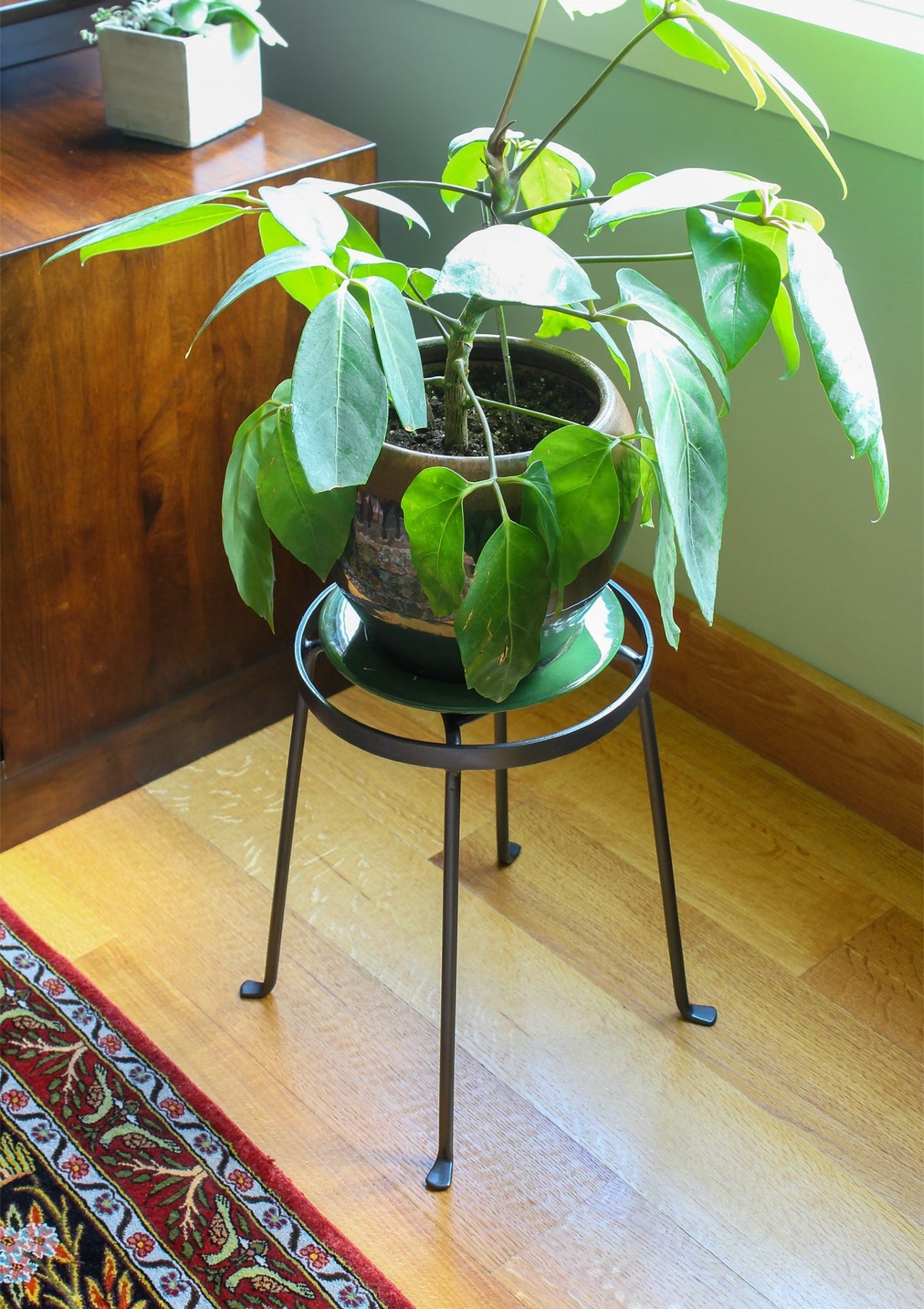 Argyle Plant Stands, Set of Two by Achla Designs Flower Box Brackets