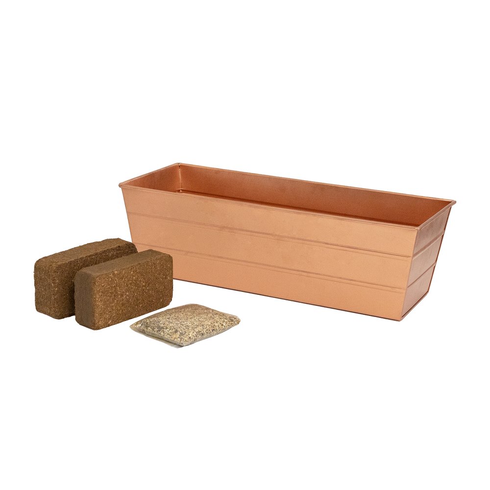Bloom Box Garden Growing Kit, Medium Copper Flower Box Brackets