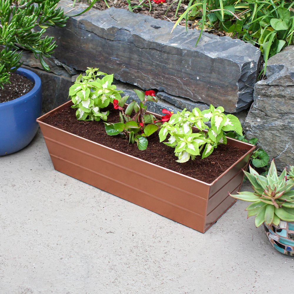 Bloom Box Garden Growing Kit, Medium Copper Flower Box Brackets