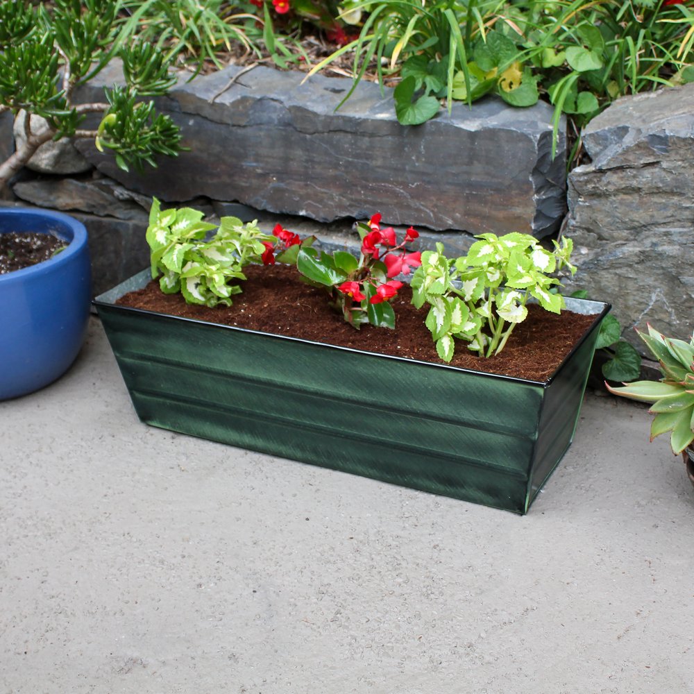 Bloom Box Garden Growing Kit, Medium Green by Achla Designs Flower Box Brackets