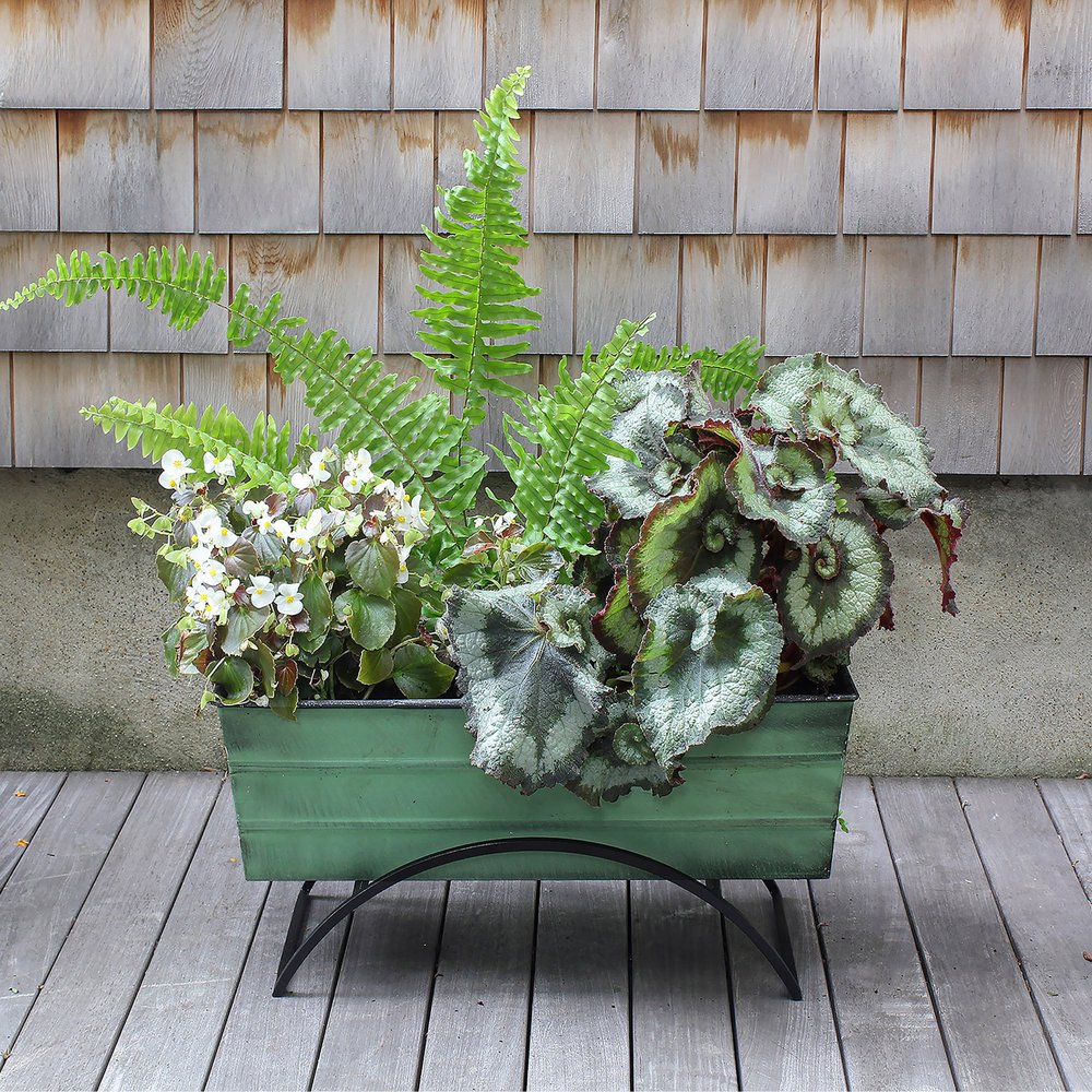 Bloom Box Garden Growing Kit, Medium Green with Odette Stand Flower Box Brackets