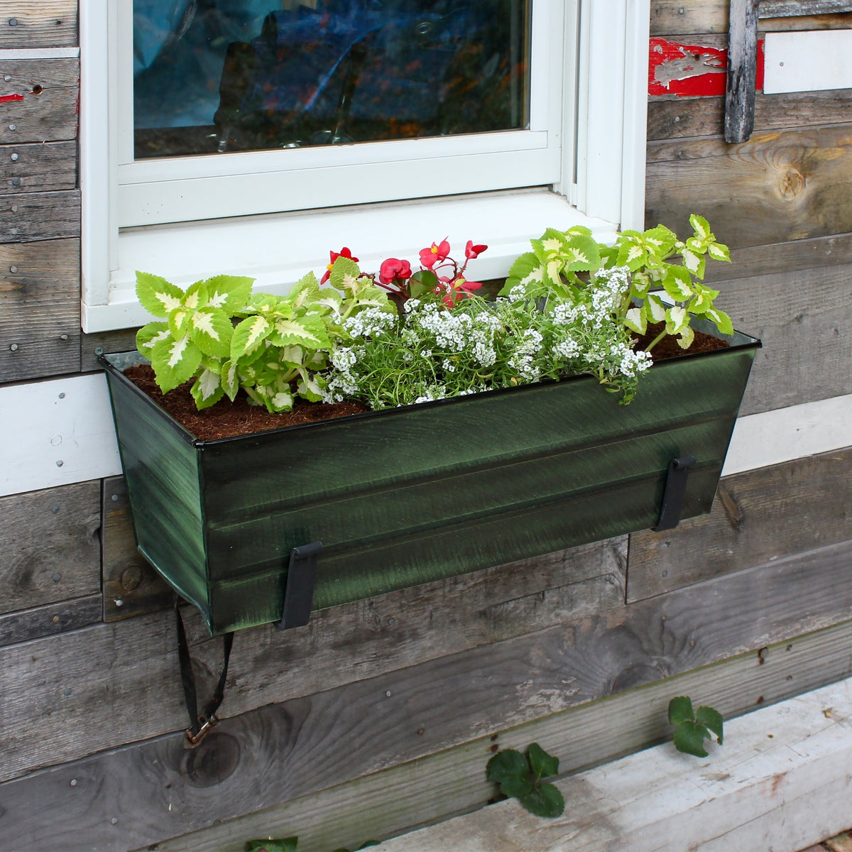 Bloom Box Garden Growing Kit, Medium Green with Wall Brackets Flower Box Brackets