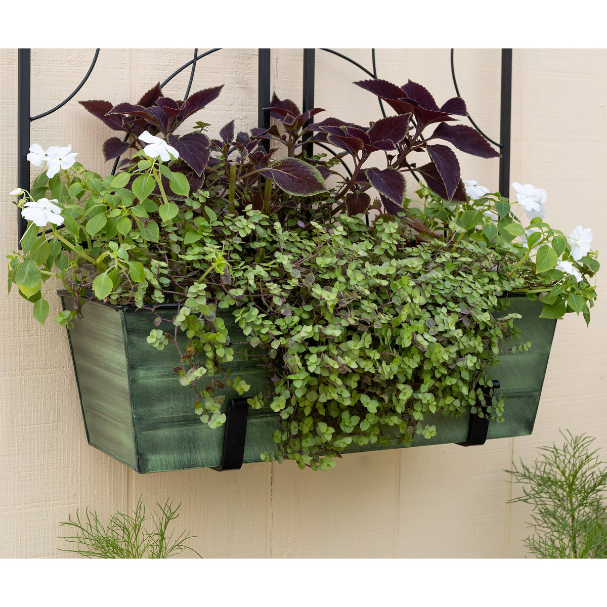 Bloom Box Garden Growing Kit, Medium Green with Wall Brackets Flower Box Brackets