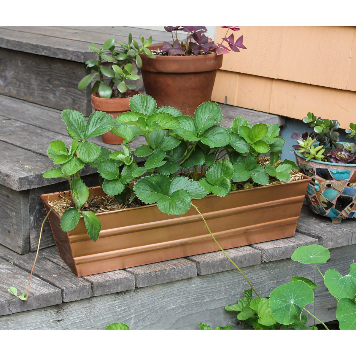 Bloom Box Garden Growing Kit, Small Copper by Achla Designs Flower Box Brackets