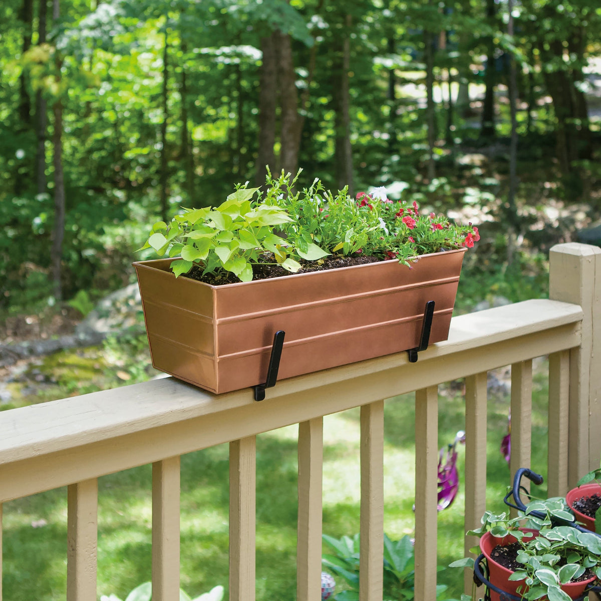 Bloom Box Garden Growing Kit with Brackets for 2 x 6 Railings Flower Box Brackets