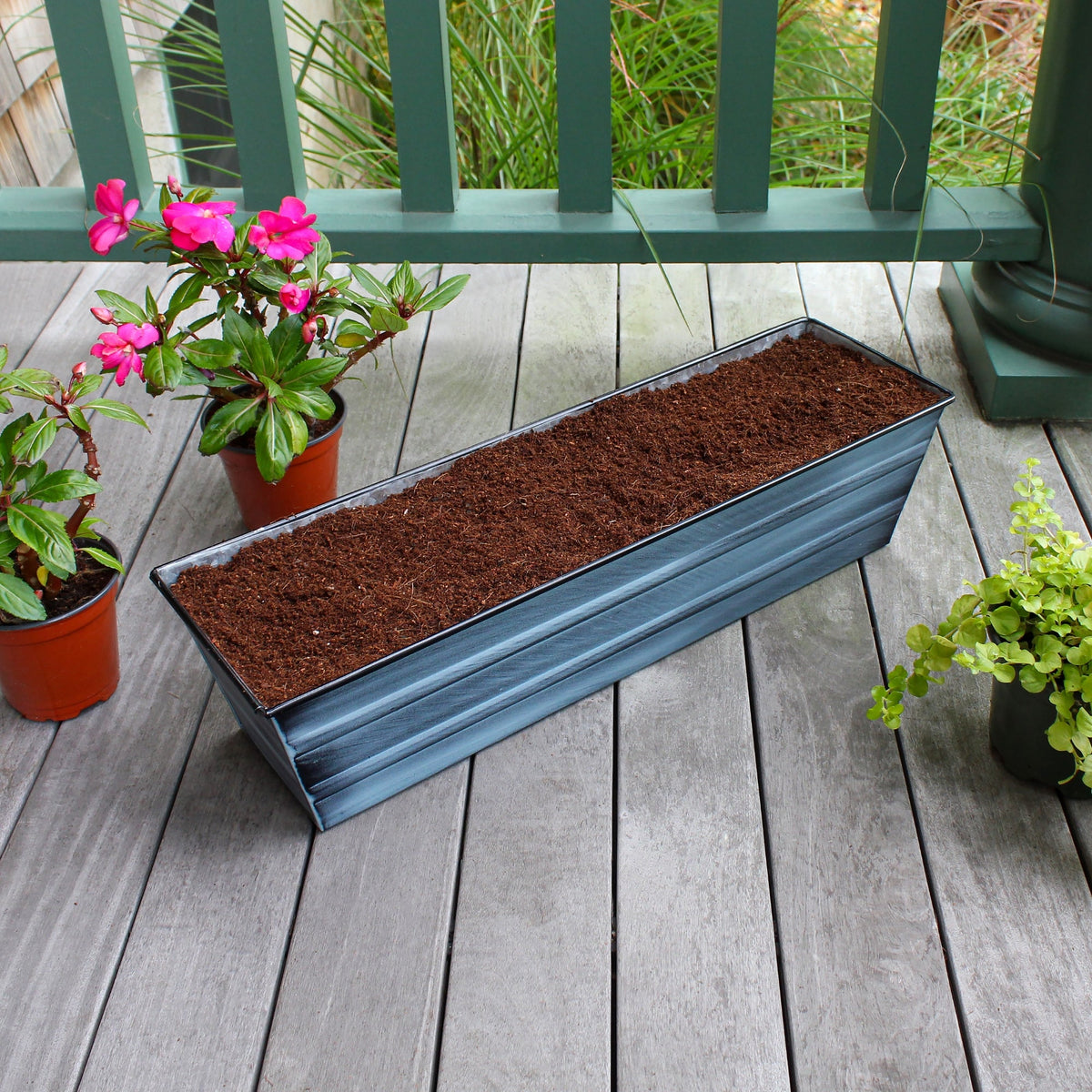Bloom Box Garden Growing Kit with Clamp-On Brackets Flower Box Brackets