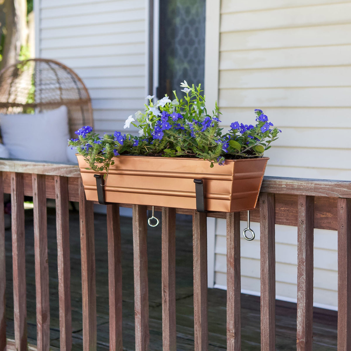 Bloom Box Garden Growing Kit with Clamp-On Brackets Flower Box Brackets