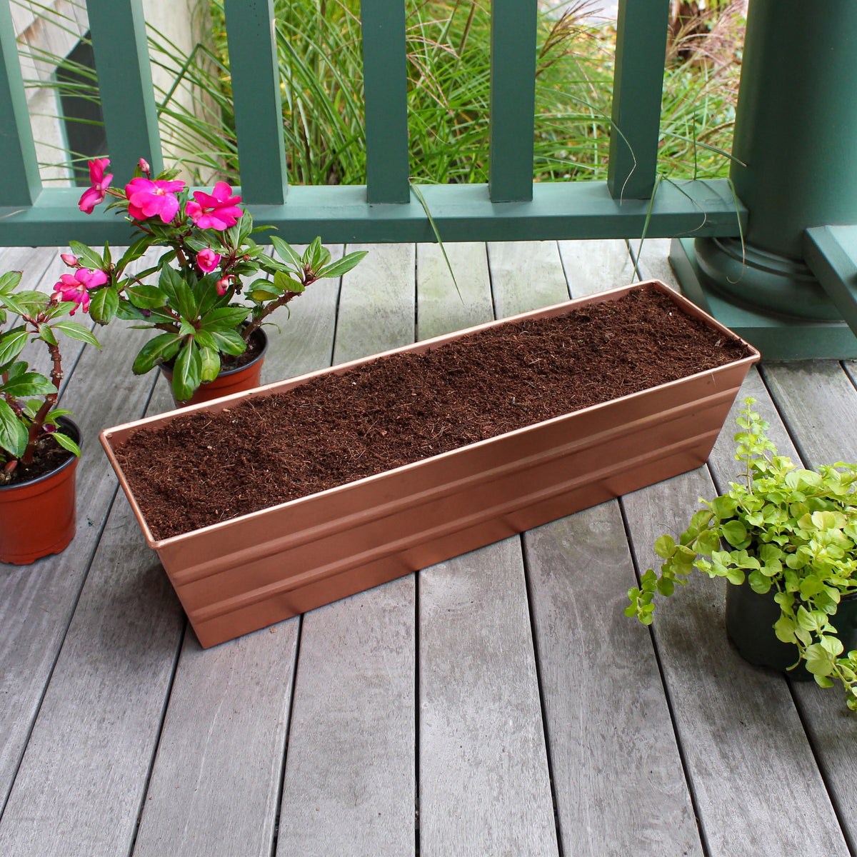 Bloom Box Garden Growing Kit with Clamp-On Brackets Flower Box Brackets