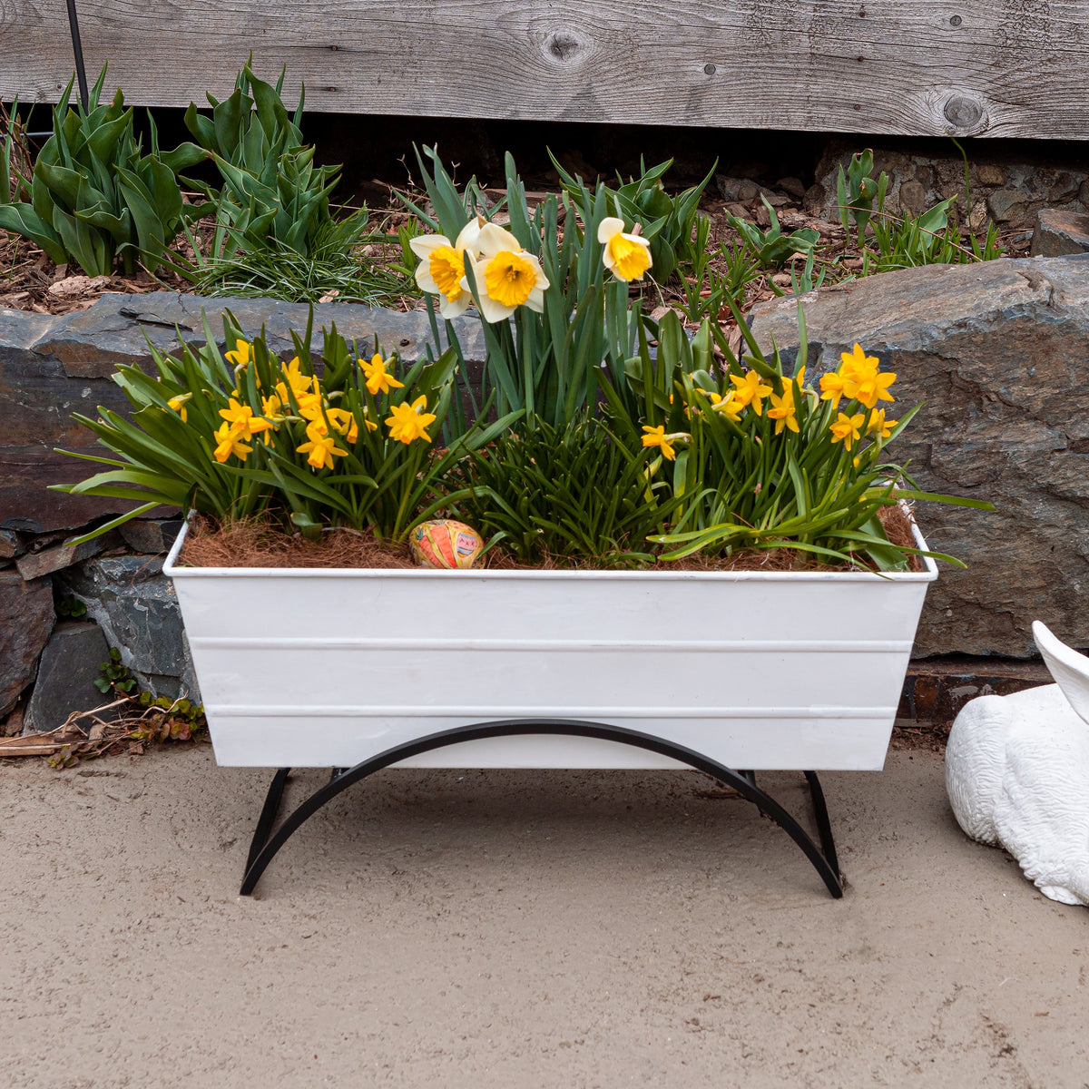 Bloom Box Garden Growing Kit with Odette Stand Flower Box Brackets