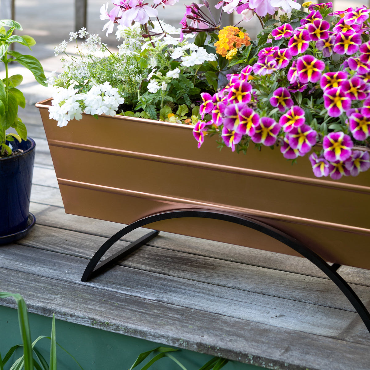 Bloom Box Garden Growing Kit with Odette Stand Flower Box Brackets