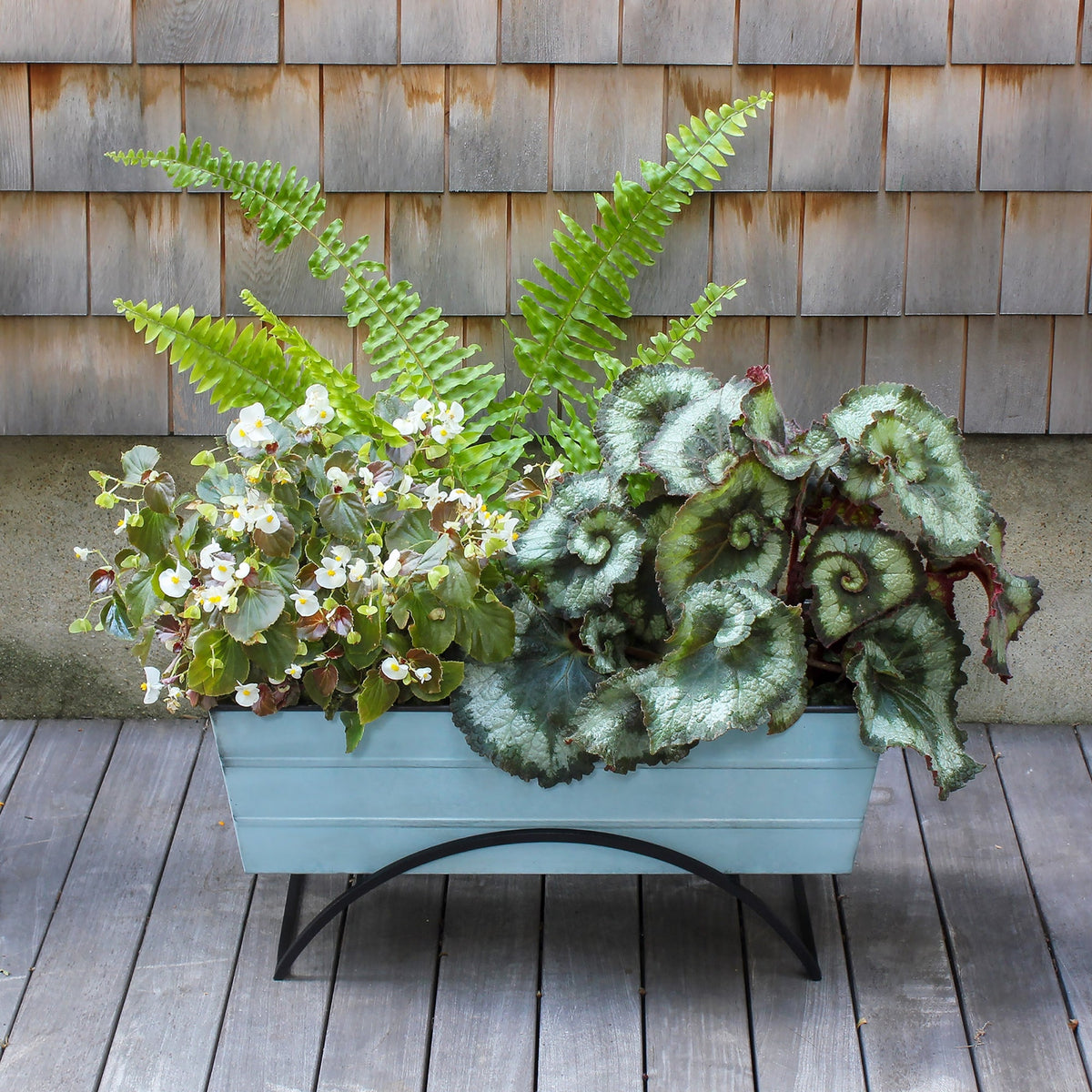 Bloom Box Garden Growing Kit with Odette Stand Flower Box Brackets