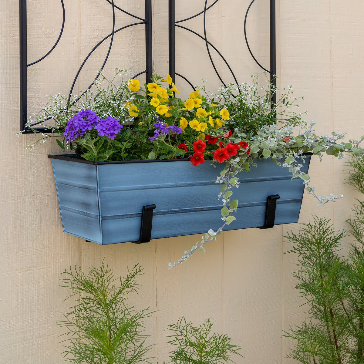 Bloom Box Garden Growing Kit with Wall Brackets Flower Box Brackets