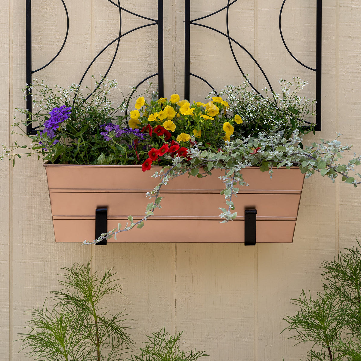 Bloom Box Garden Growing Kit with Wall Brackets Flower Box Brackets