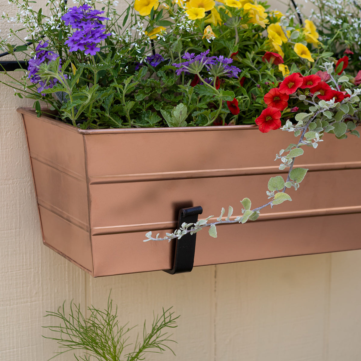 Bloom Box Garden Growing Kit with Wall Brackets Flower Box Brackets