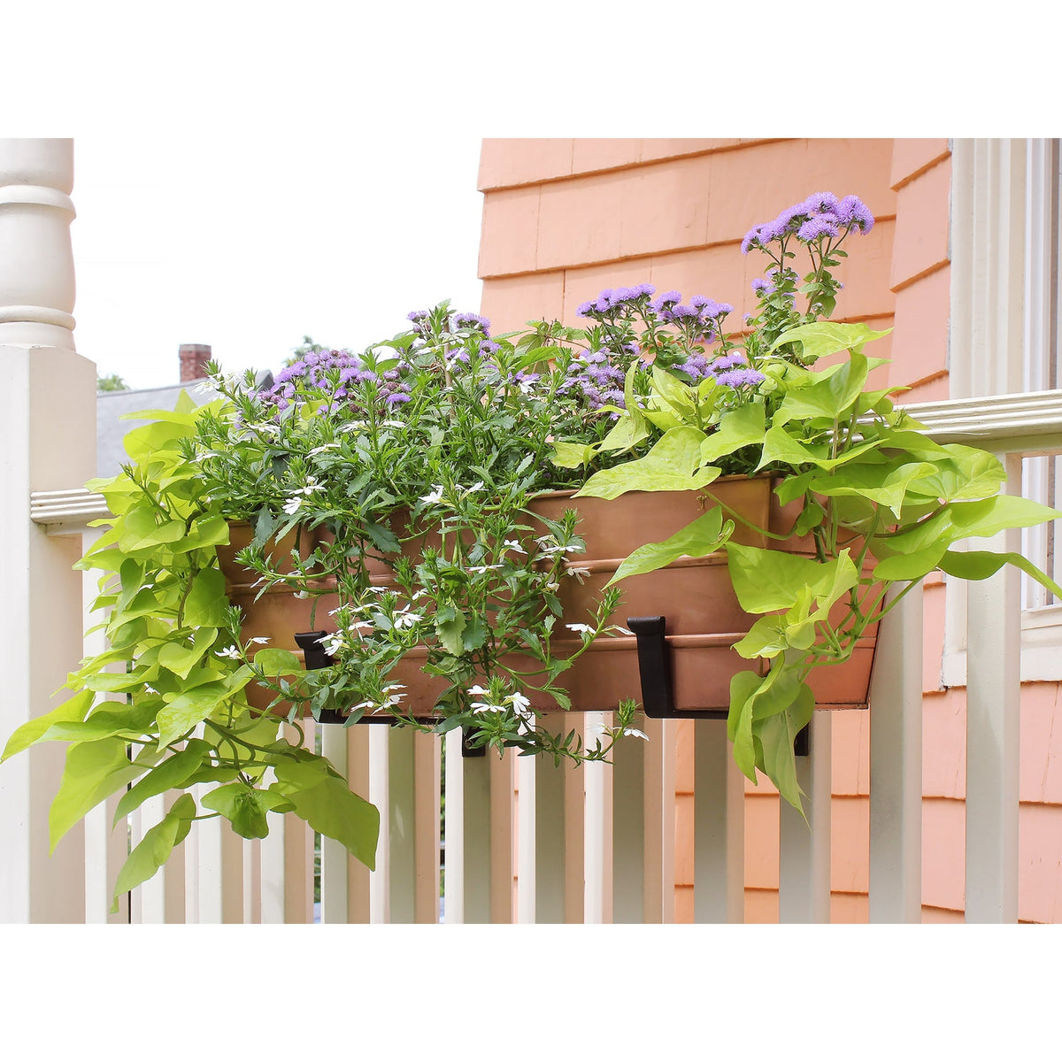 Bloom Box Garden Growing Kit with Wall Brackets Flower Box Brackets