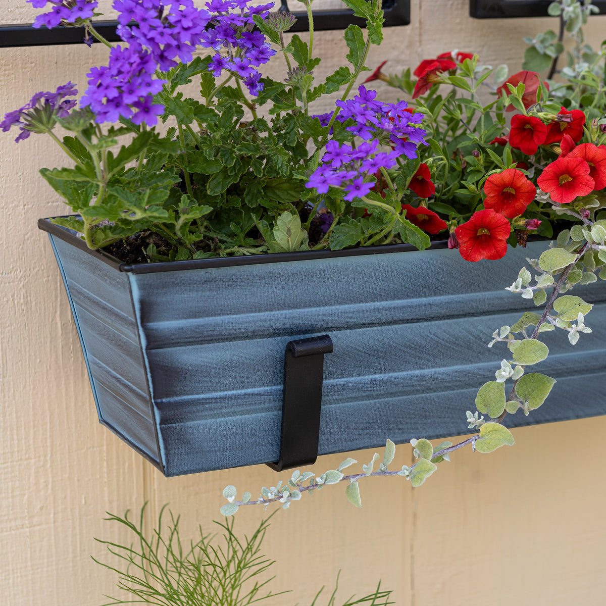 Bloom Box Garden Growing Kit with Wall Brackets Flower Box Brackets