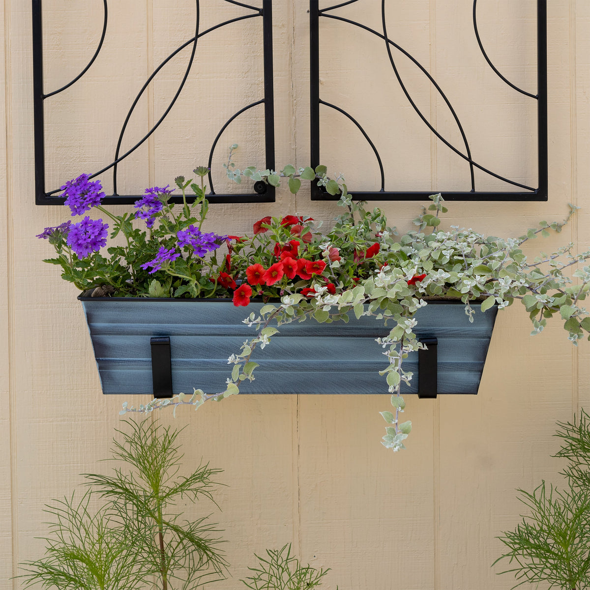 Bloom Box Garden Growing Kit with Wall Brackets Flower Box Brackets