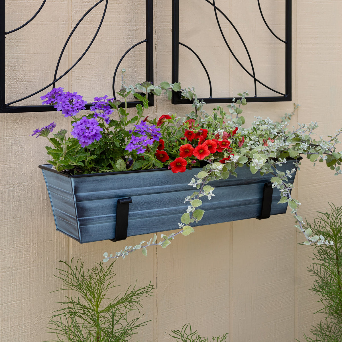 Bloom Box Garden Growing Kit with Wall Brackets Flower Box Brackets