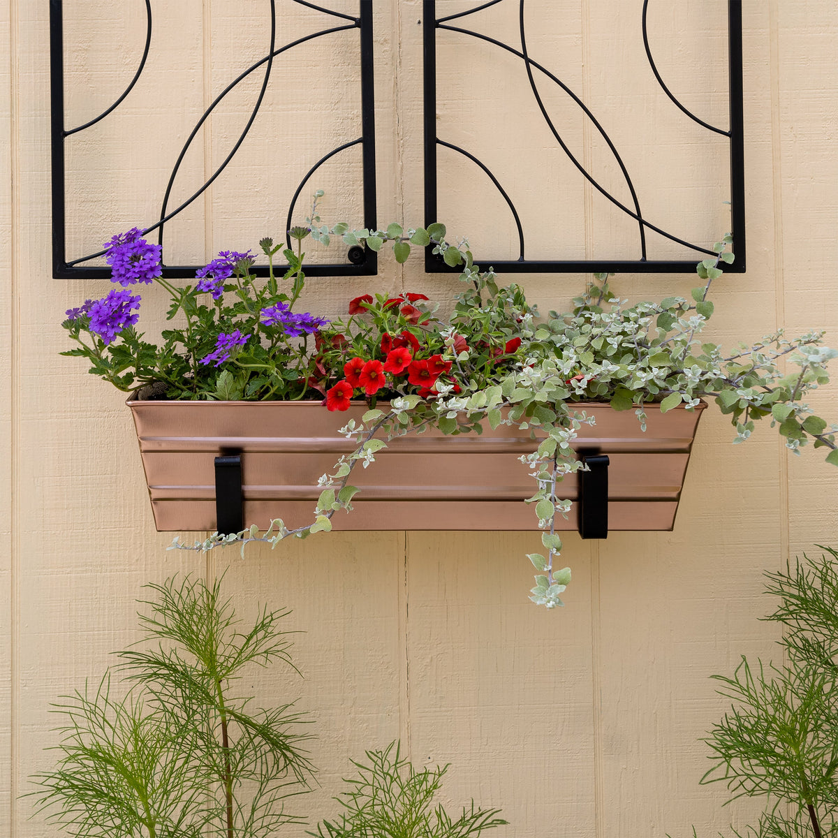Bloom Box Garden Growing Kit with Wall Brackets Flower Box Brackets