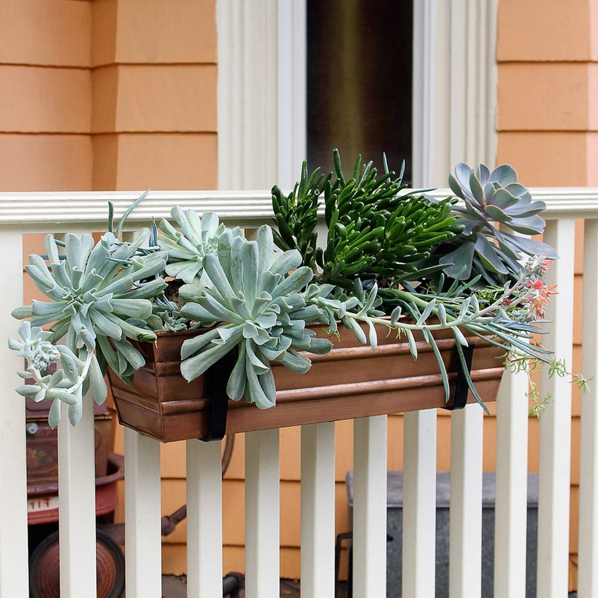 Bloom Box Garden Growing Kit with Wall Brackets Flower Box Brackets