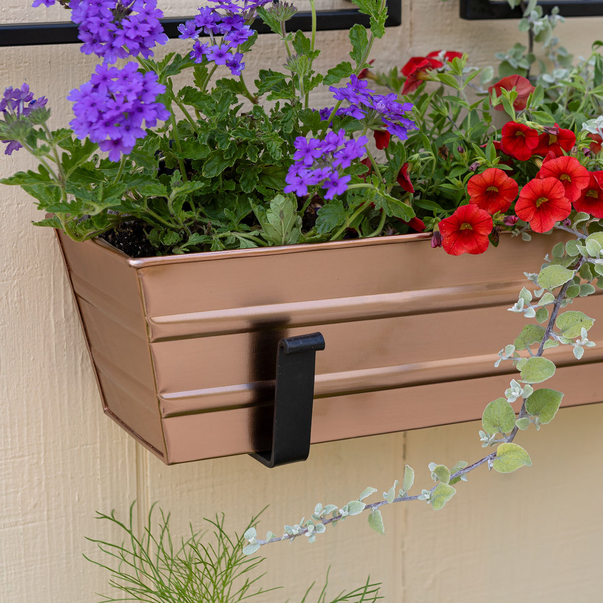 Bloom Box Garden Growing Kit with Wall Brackets Flower Box Brackets