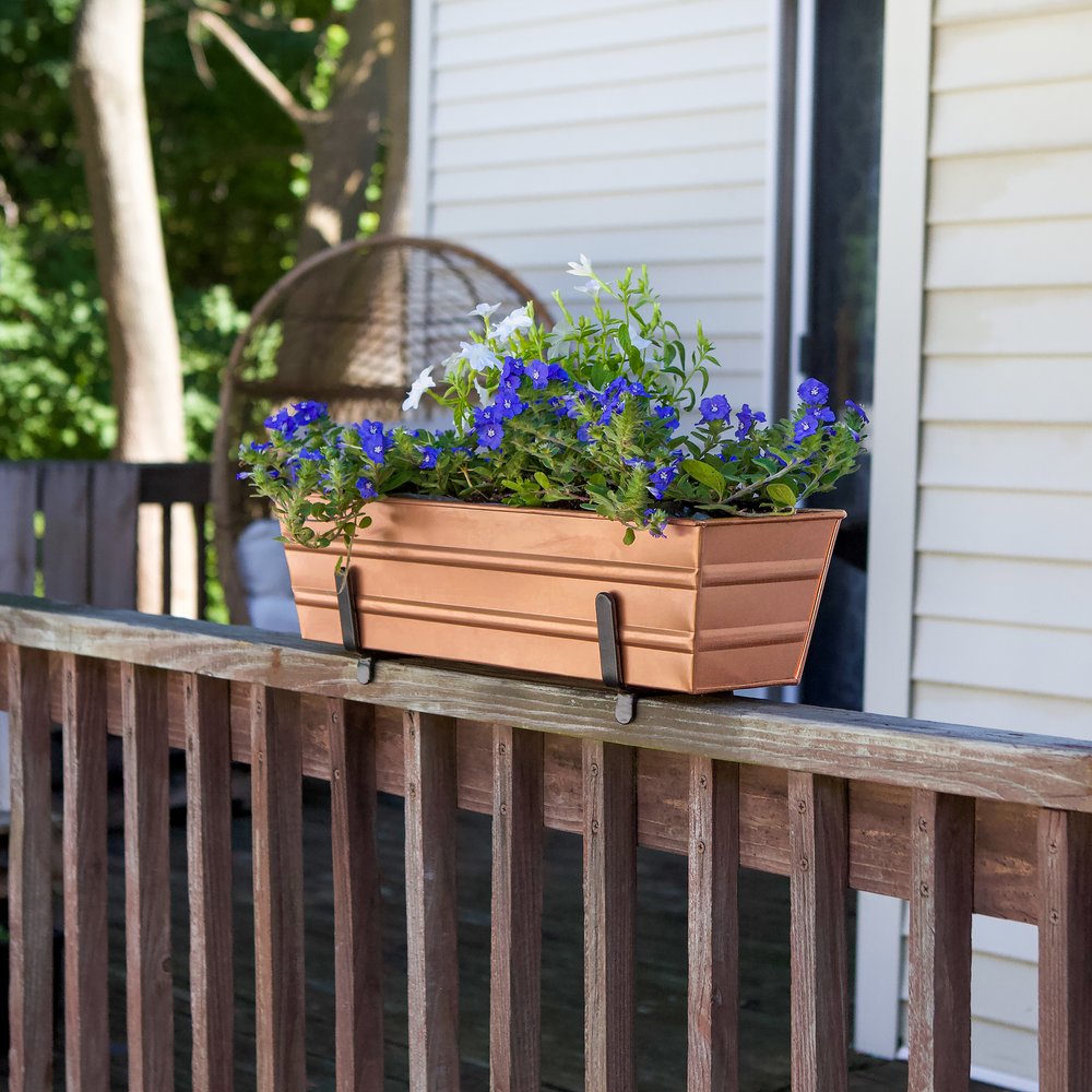 Bloom Box Garden Growing Kits – Small Size with Multiple Mounting Options Flower Box Brackets