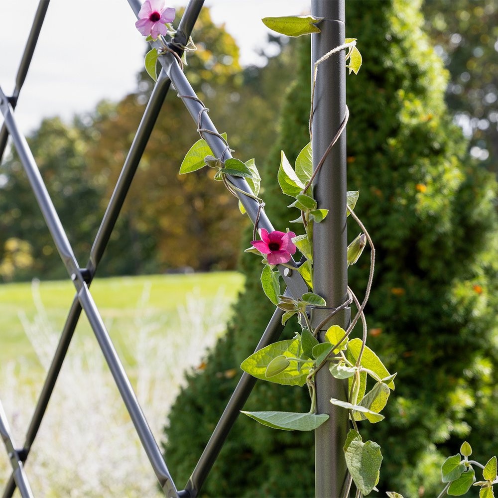 Lattice Tunnel Arbor by Achla Designs Arbor