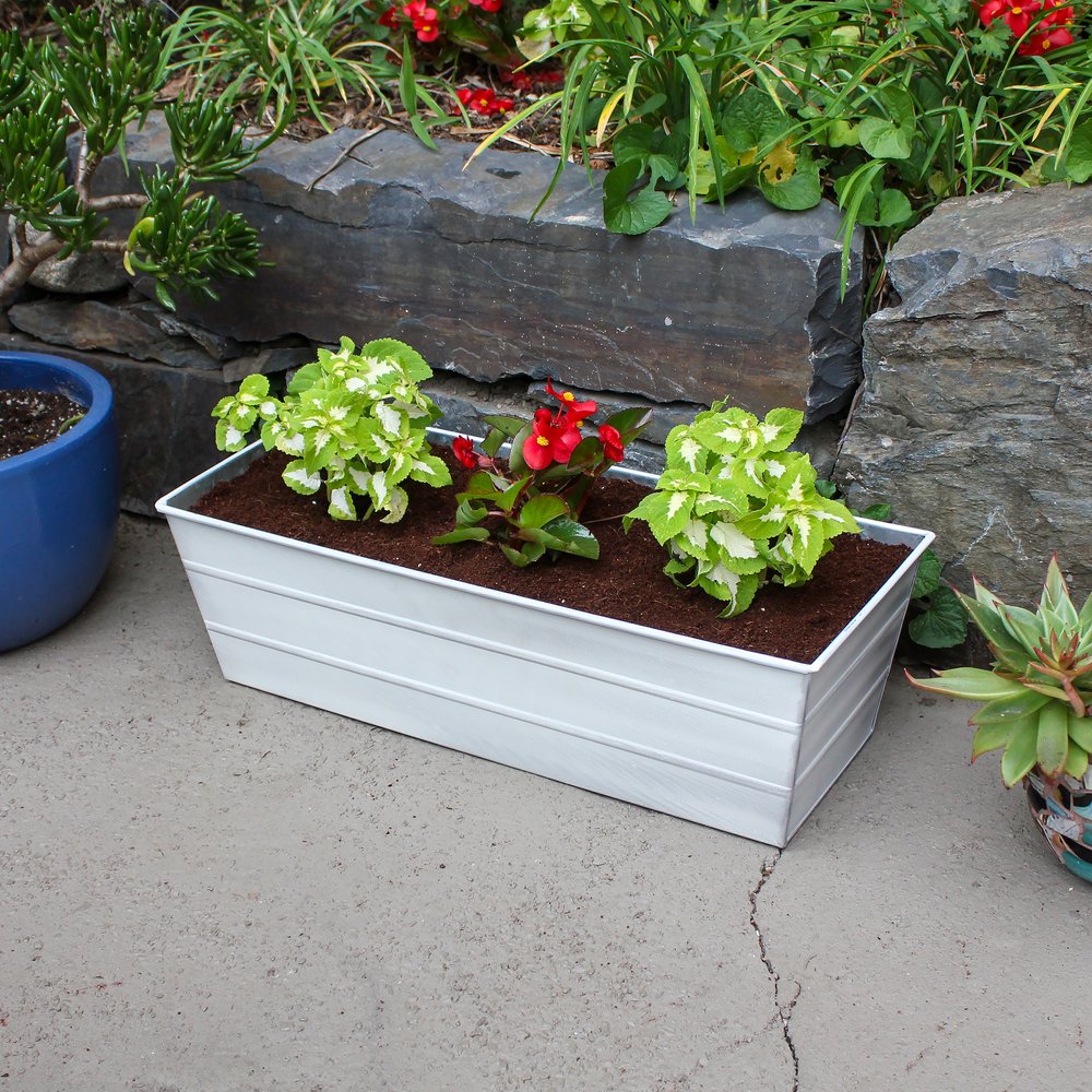Medium White Bloom Box Garden Growing Kit with Clamp-On Brackets – A Versatile and Stylish Gardening Solution Flower Box Brackets