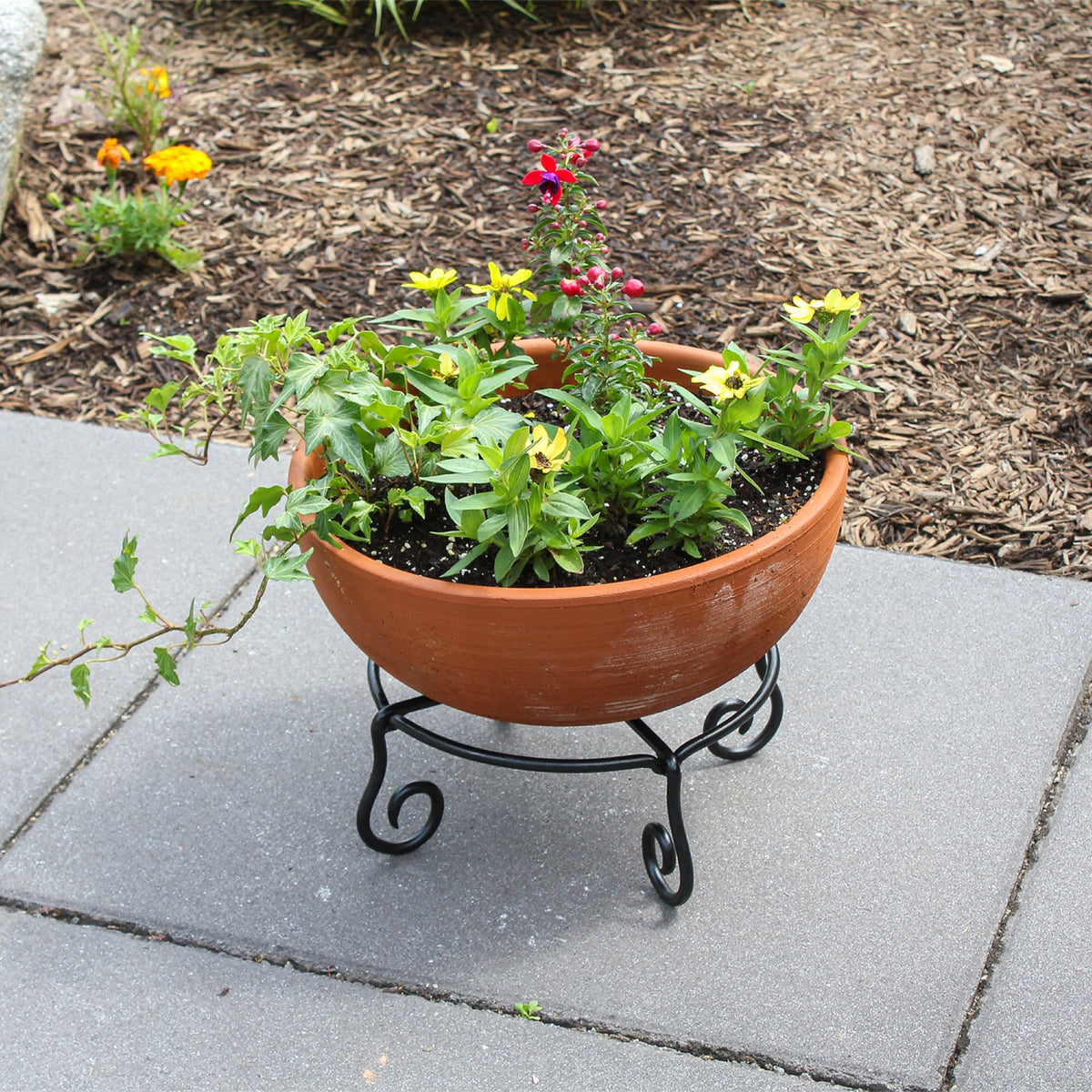 Piazza Plant Stands, Set of Two by Achla Designs Flower Box Brackets