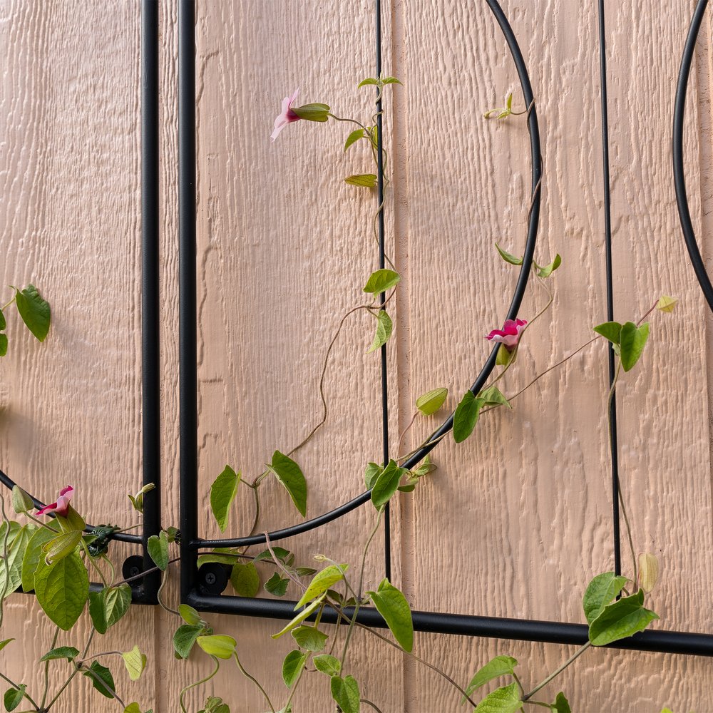 Quilt Block-Circles Wall Trellis Panels (3 panels) &amp; Diagonals Wall Trellis Panels (4 panels) Trellis