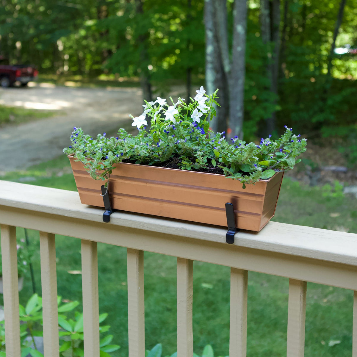 The Bloom Box Garden Growing Kits with Brackets for 2 x 6 Railings Flower Box Brackets