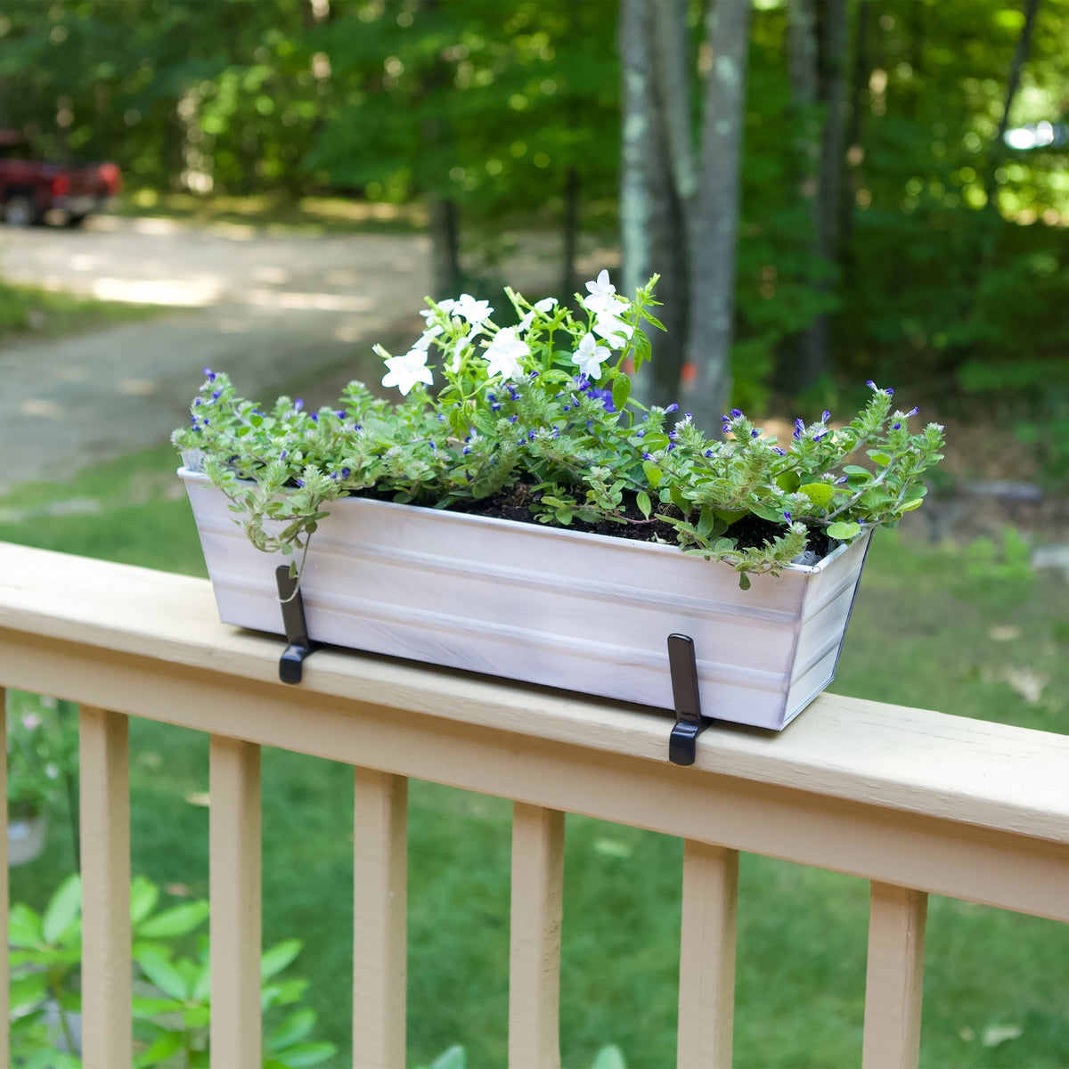 The Bloom Box Garden Growing Kits with Brackets for 2 x 6 Railings Flower Box Brackets