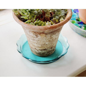 4-Pack Scalloped Rim Recycled Glass Tray Glass Tray