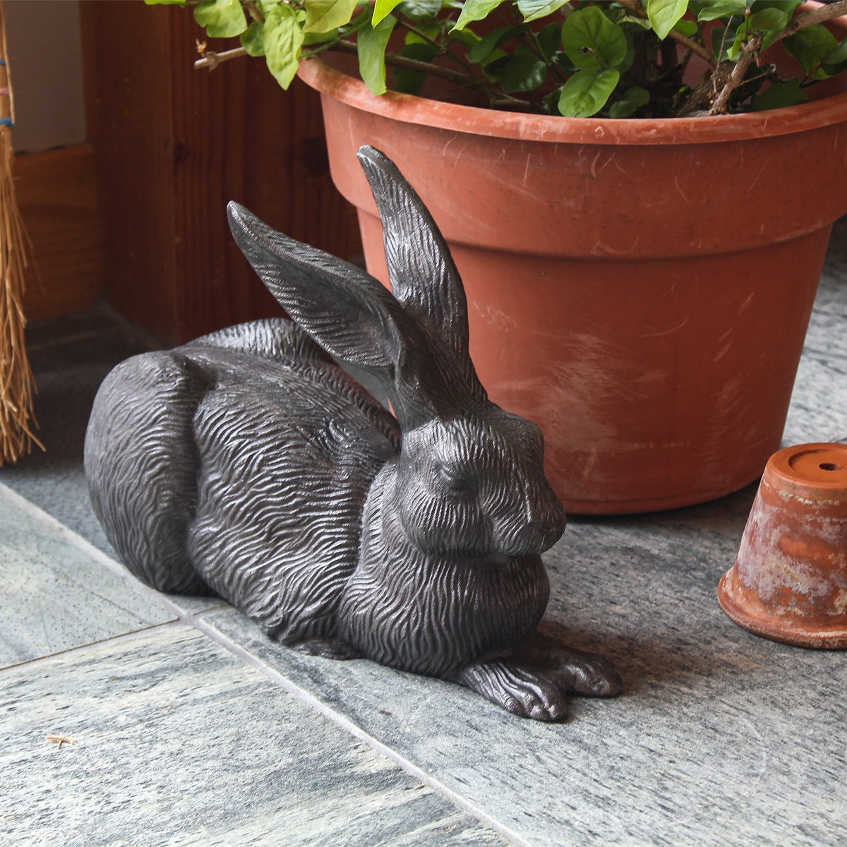 Charcoal Rabbit Rabbit