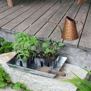 Dainty Copper Watering Can Watering Can