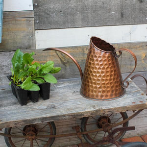 Dainty Copper Watering Can Watering Can