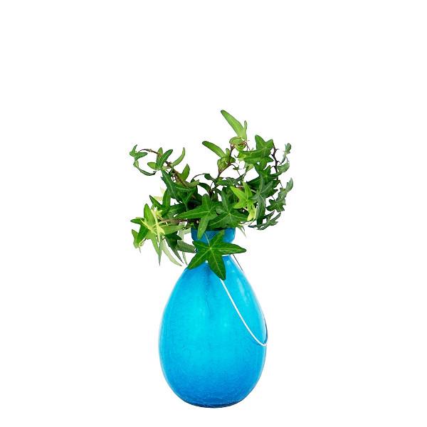 Rooting Vase Vase