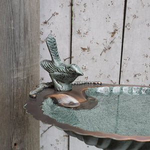 Scallop Shell Birdbath Birdbath