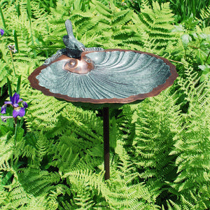 Scallop Shell Birdbath Birdbath