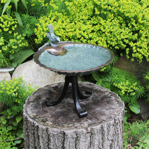 Scallop Shell Birdbath Birdbath